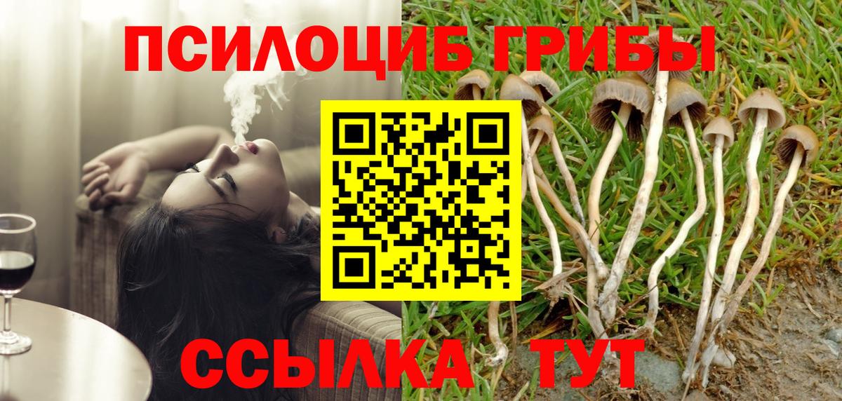 Псилоцибиновые грибы прущие грибы  Вход с VPN  Псилоцибиновые грибы GOLDEN TEACHER  Норильск 